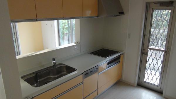 Kitchen. Bright counter kitchen dishwasher