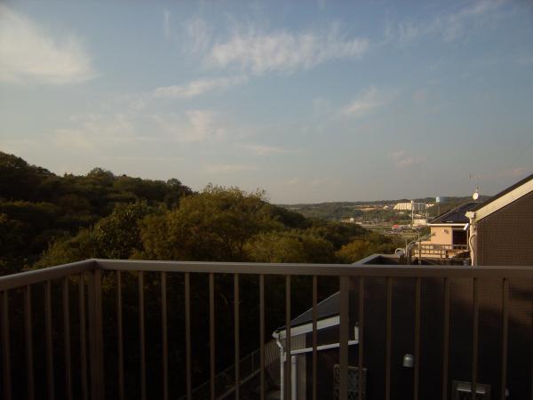 View photos from the dwelling unit. It is the view from the bedroom balcony