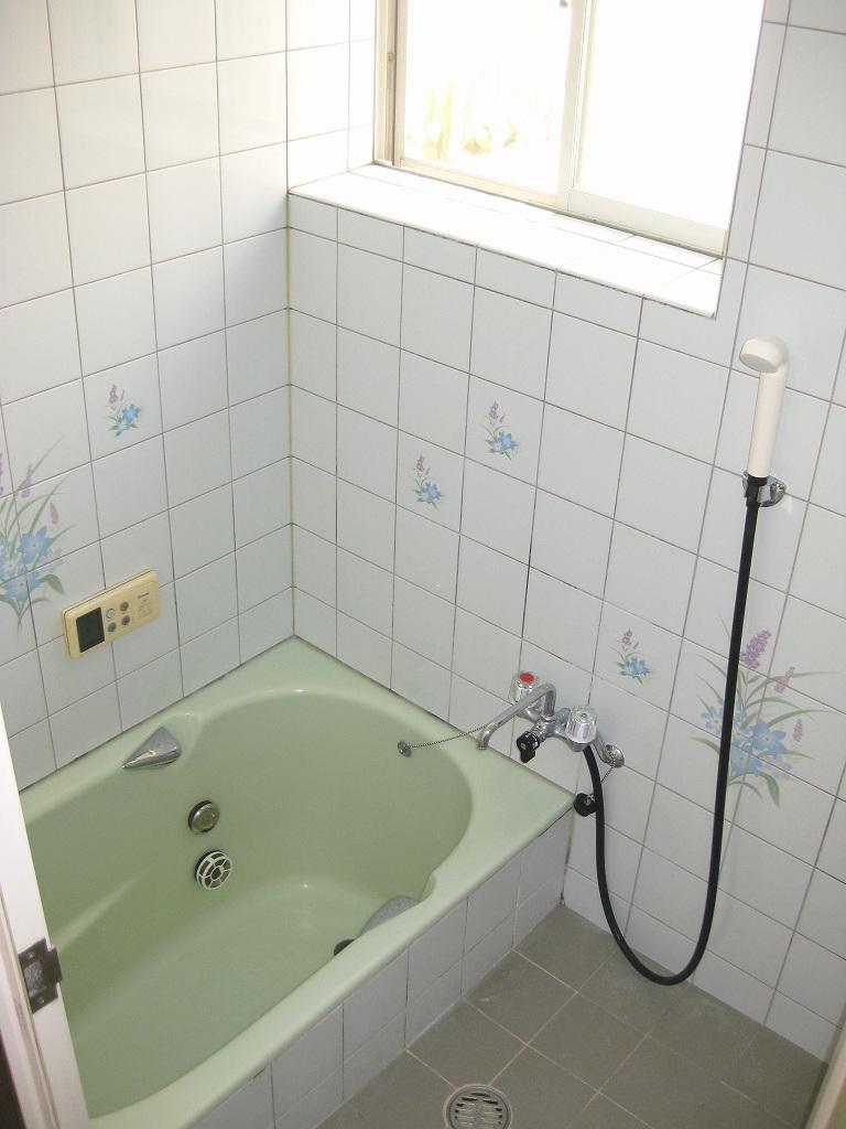 Bathroom. Indoor (September 2013) Shooting