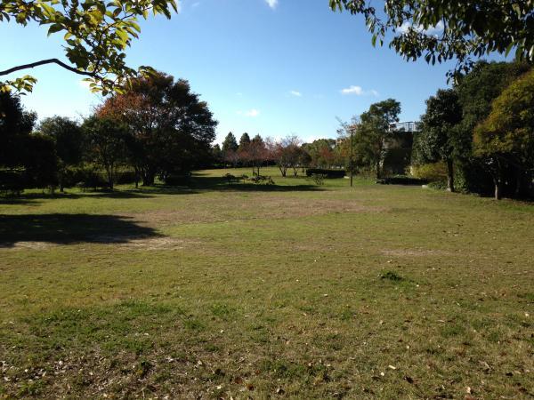 park. There away from the 30m properties of 30m to the park.  Please a little exercise. 