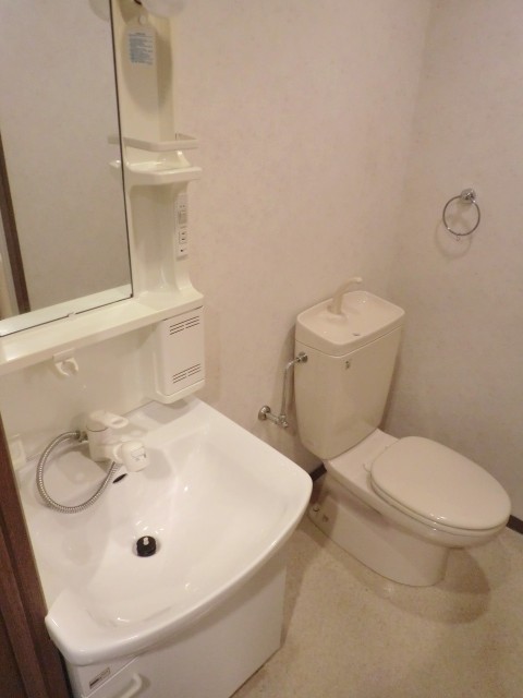 Washroom. Vanity shower