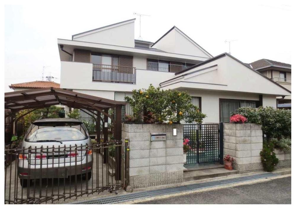 Local appearance photo. The appearance of the beautiful form