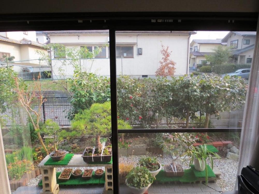 Living. Indoor (12 May 2013) Shooting