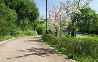 Streets around. Ibuki Green Road (promenade)