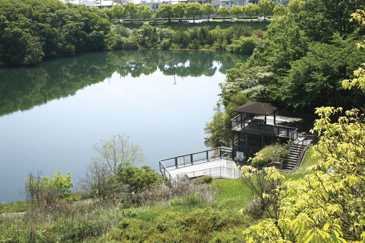 Other Environmental Photo. Kashinodai a 4-minute walk from the 300m field to the park