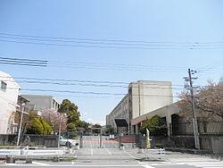 Junior high school. Nagasaka 1800m until junior high school