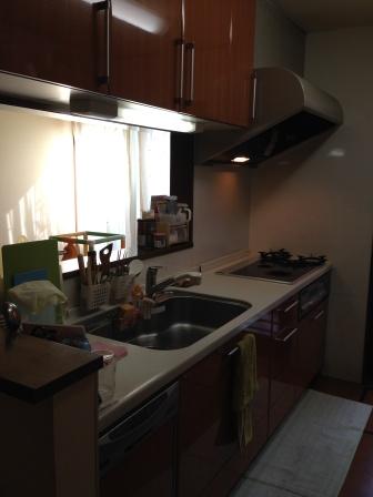 Kitchen. Indoor (11 May 2013) Shooting