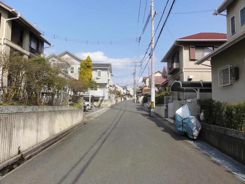 Other local. Surrounding environment