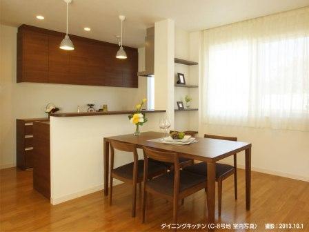 Non-living room. ■ C-8 issue areas (dining kitchen)