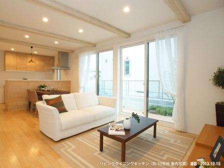 Living. ■ B-10 issue areas (living dining kitchen)