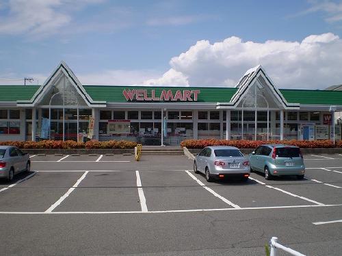 Supermarket. 440m until well Mart (super)