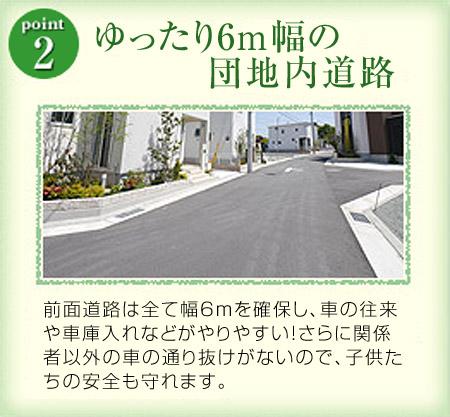 Other local. (2) loose 6m width housing complex in the road