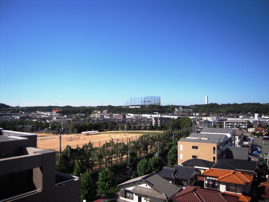 View. View from the upper floors