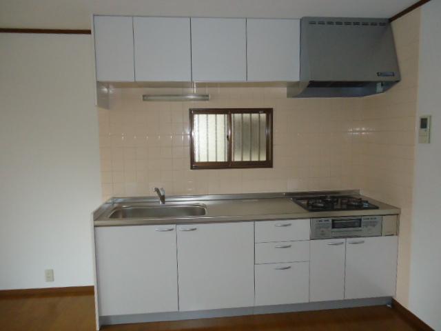 Kitchen. Indoor (March 1, 2013) Shooting