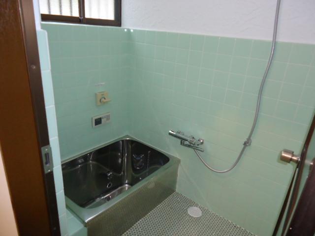 Bathroom. Indoor (March 1, 2013) Shooting