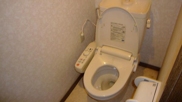 Toilet. Bidet with toilet Window there 2013 December shooting