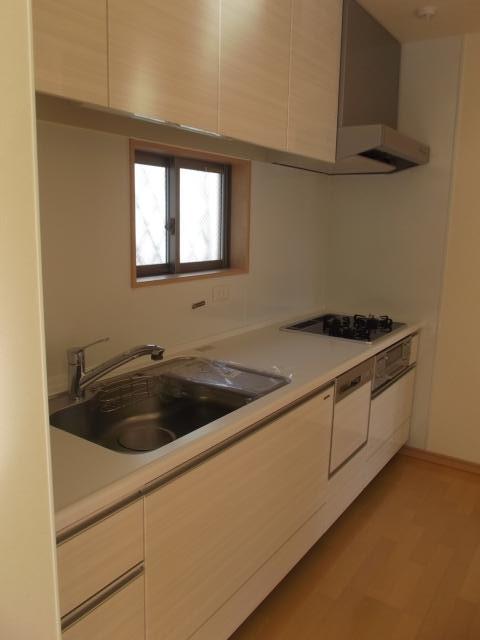 Kitchen. Indoor (12 May 2013) Shooting