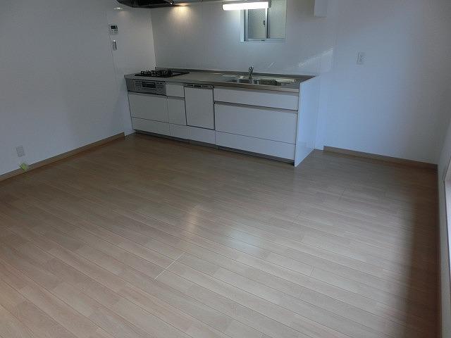 Living. Indoor (July 2013) Shooting