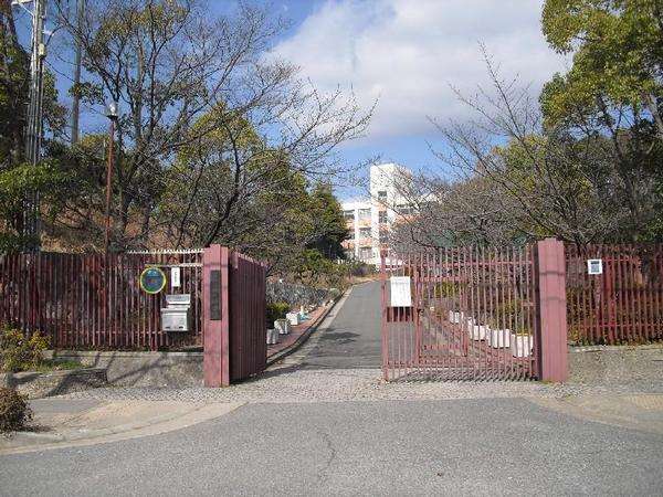 Junior high school. Yokoo 1773m until junior high school (junior high school)