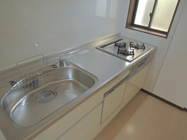 Kitchen. Indoor (11 May 2013) Shooting