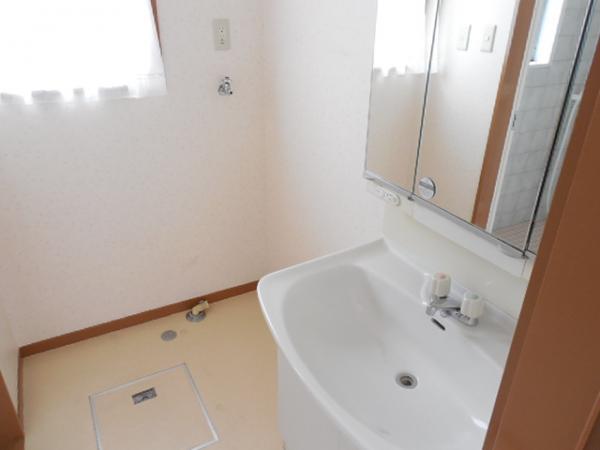 Wash basin, toilet. Clean wash basin!