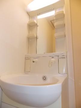 Washroom. Shampoo dresser