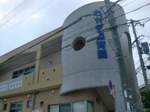 Other. 245m until the young plants nursery school (Other)