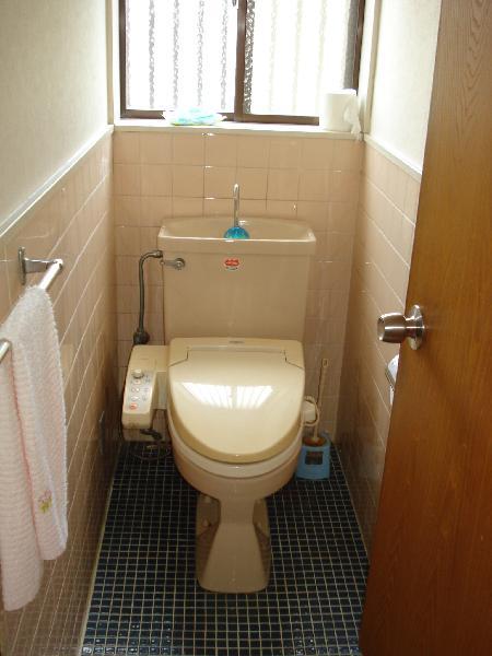 Washroom. First floor toilet