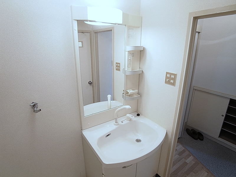 Washroom. Shampoo dresser adoption