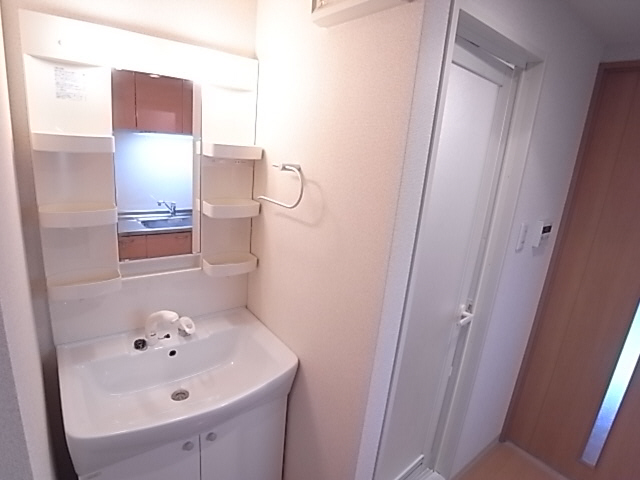 Washroom. Shampoo dresser