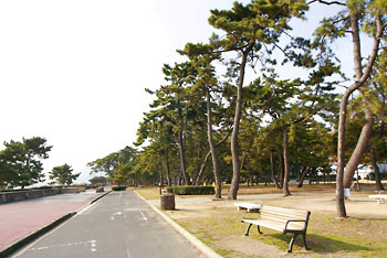 Other. 1500m to Suma beach park (Other)