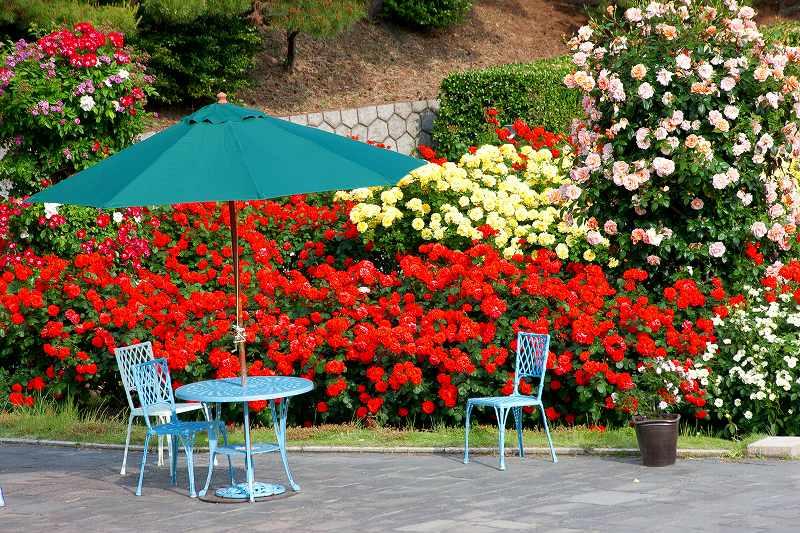 Suma Rikyu Park / 120m from the local (2013 May shooting)