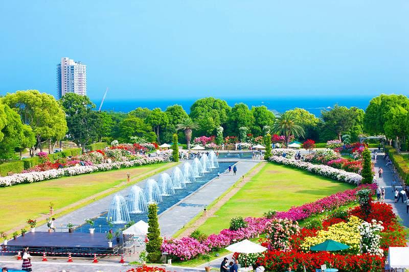 Suma Rikyu Park / 120m from the local (2013 May shooting)