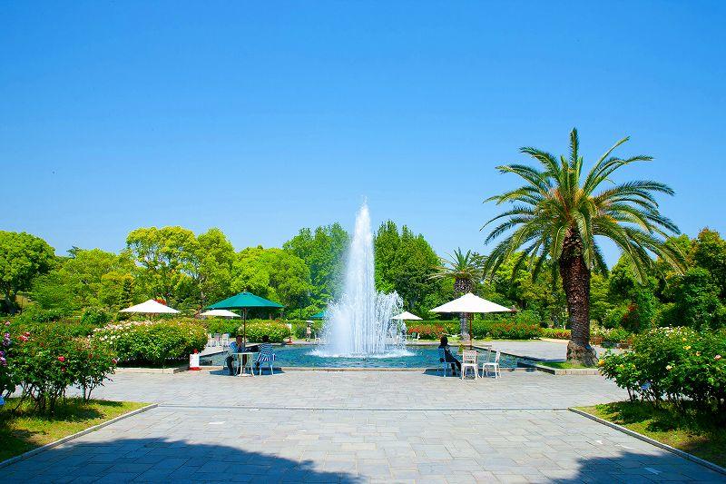 Other local. Suma Rikyu Park / 120m from the local (2013 May shooting)