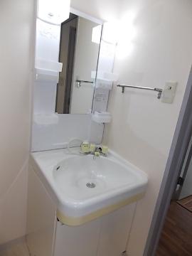 Washroom. Shampoo dresser