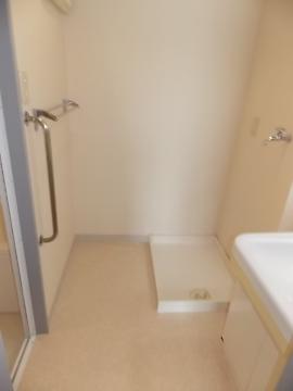 Other room space. Laundry Area