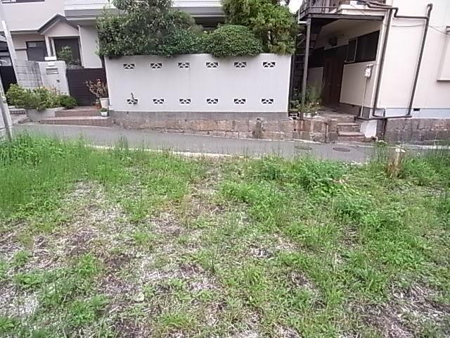 Local photos, including front road