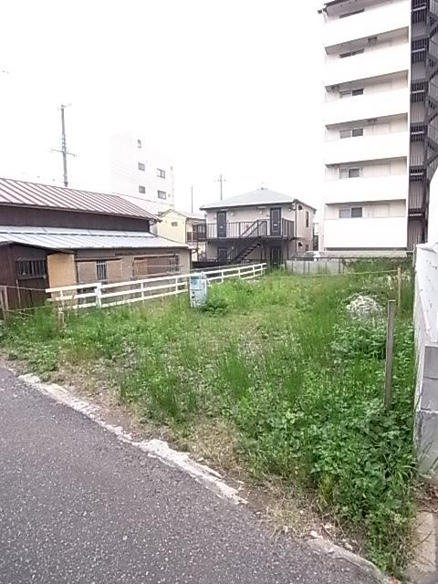 Local photos, including front road