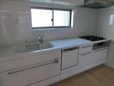 Kitchen. Indoor (12 May 2013) Shooting Preeminent storage capacity is dishwasher with a pull-out of the kitchen