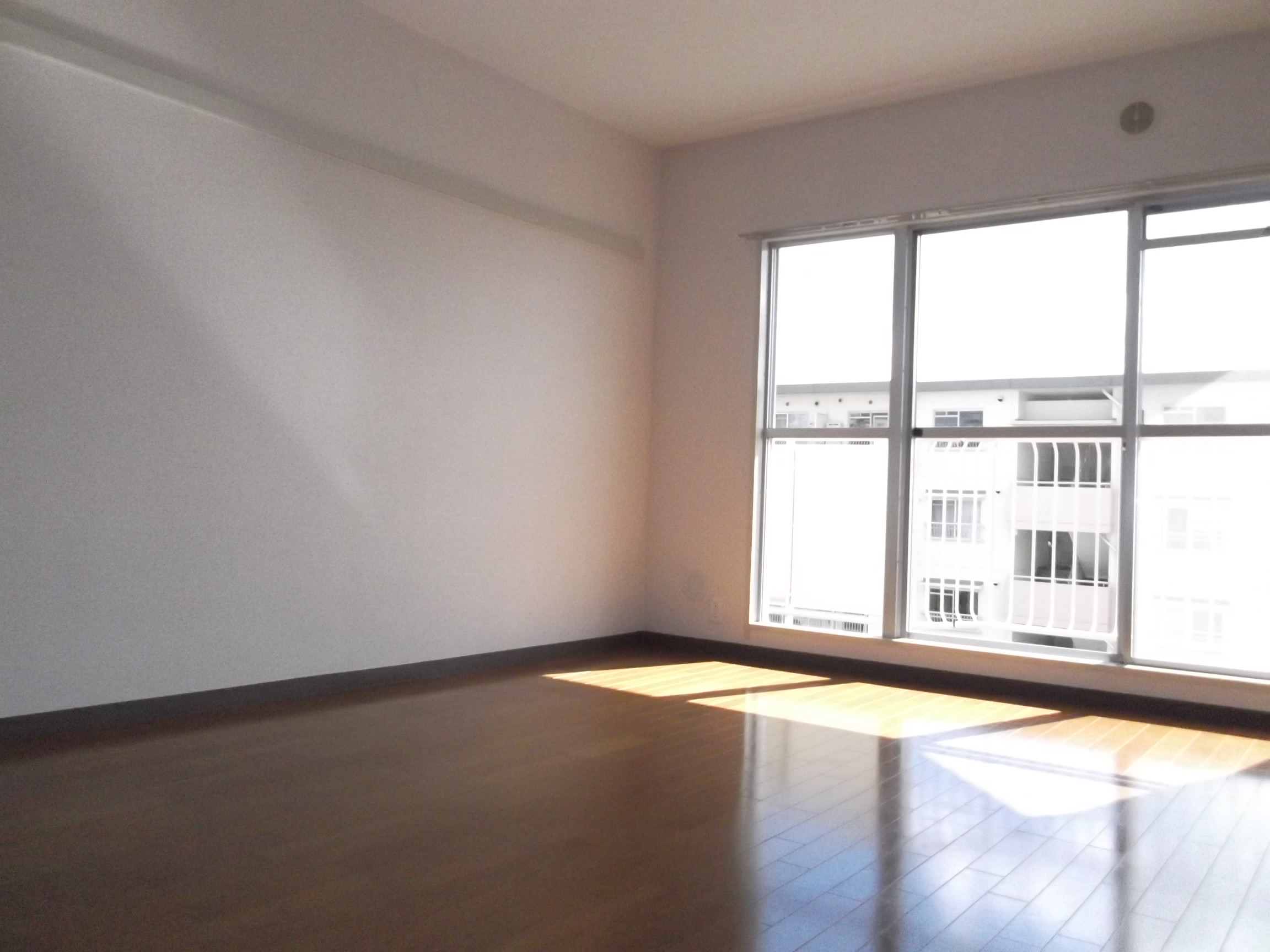 Living and room. Photograph publication of the same type.