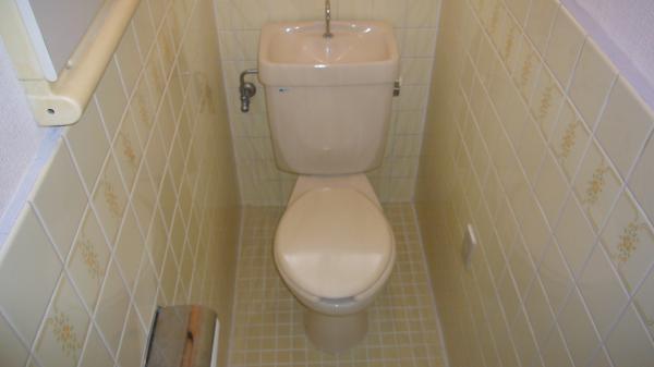 Toilet. toilet Window there