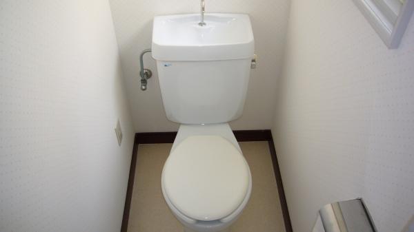 Toilet. toilet Window there