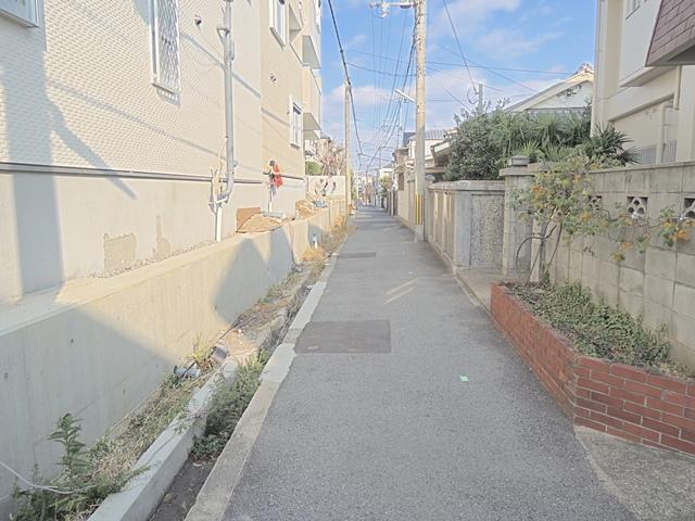 Local photos, including front road. Southeast side of the road Local (12 May 2013) Shooting