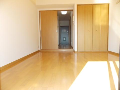 Living and room. Western style room