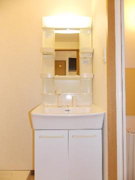 Washroom. Shampoo dresser