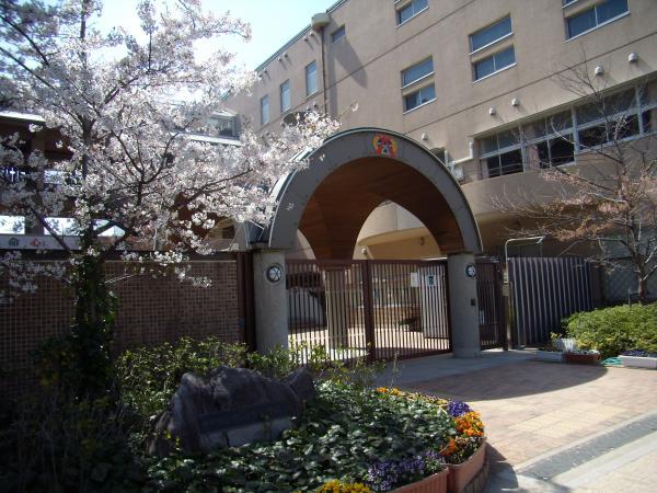 Primary school. Earth until the elementary school 530m