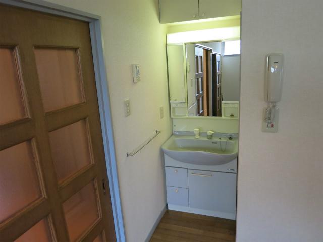 Wash basin, toilet. Bathroom vanity