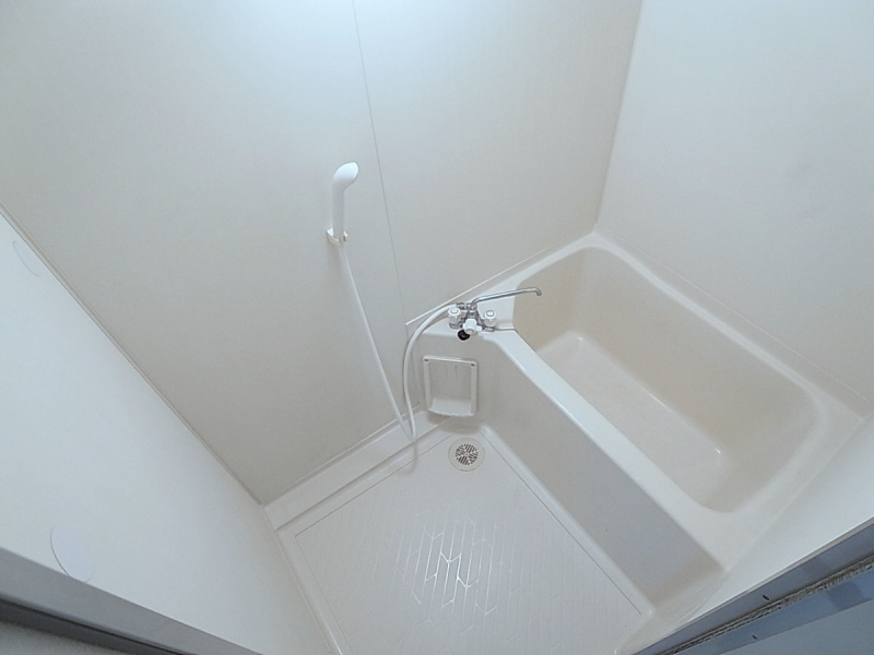 Bath. bathroom. Clean cleaning settled