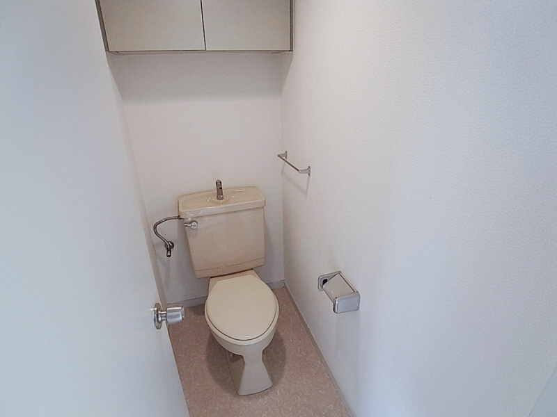 Toilet. Toilet with cleanliness