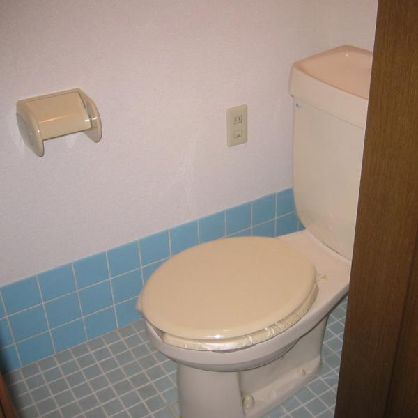 Other. Toilet